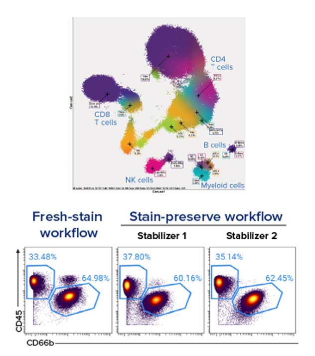 CyTOF Fresh Stain Workflow