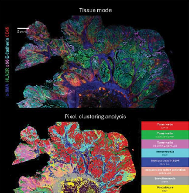 Hyperion Spatial Imagery