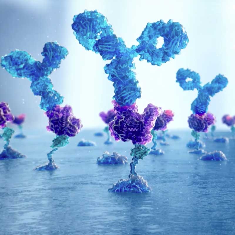 KREX antibody profiling